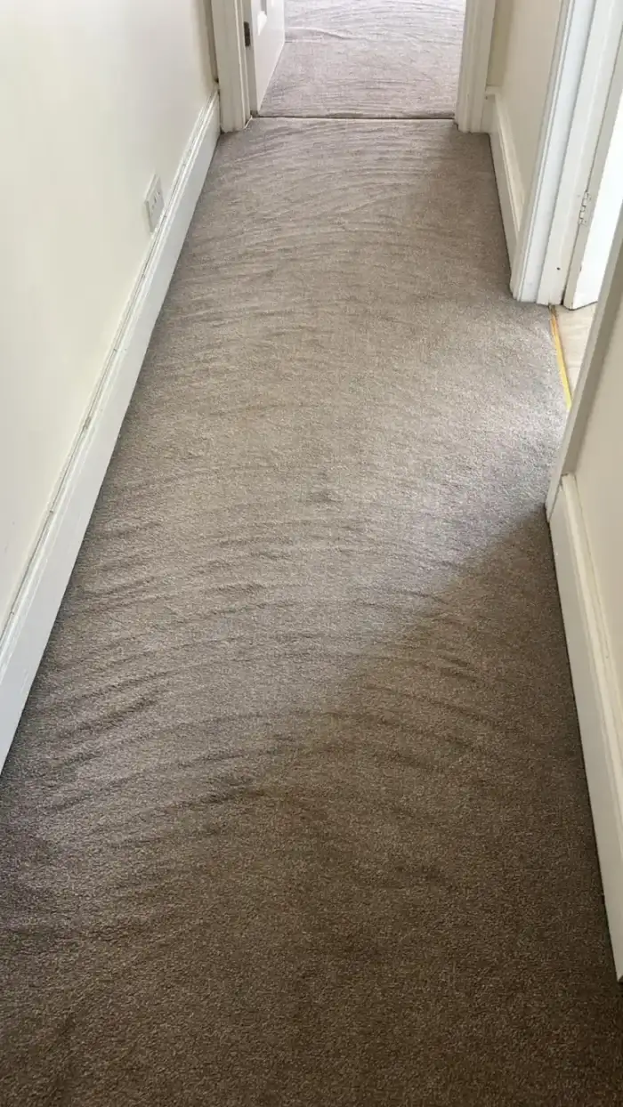 Office cleaning Edinburgh, commercial deep clean
