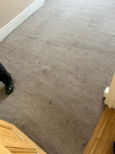 CareNTidy Case Study Cleaning Jobs Done Images (19)