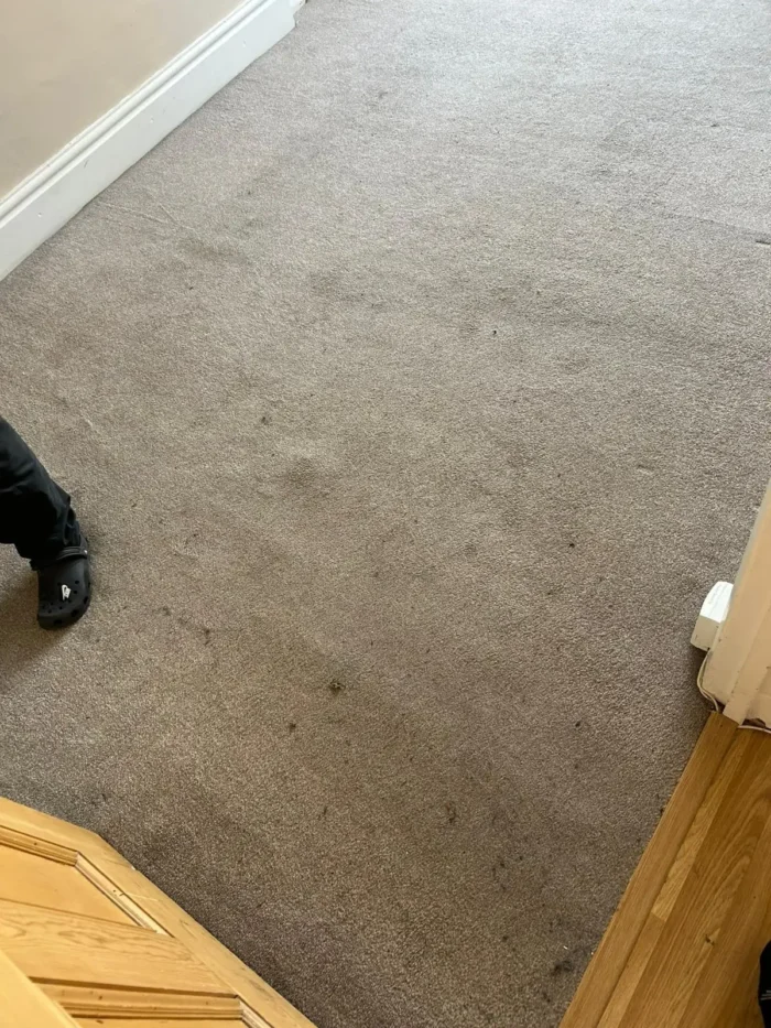 Move-out cleaning Gloucester