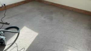 CareNTidy Case Study Cleaning Jobs Done Images (22)