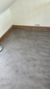 CareNTidy Case Study Cleaning Jobs Done Images (26)