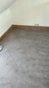 CareNTidy Case Study Cleaning Jobs Done Images (26)