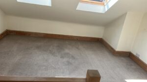 CareNTidy Case Study Cleaning Jobs Done Images (27)